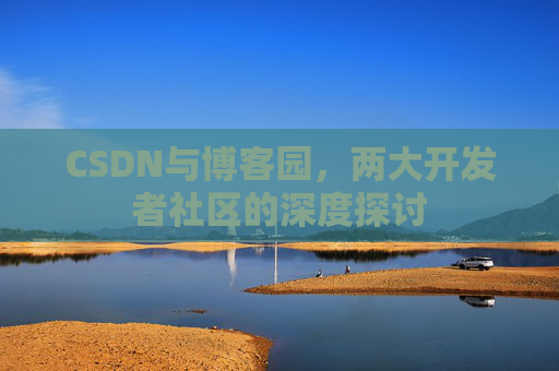 CSDN与博客园，两大开发者社区的深度探讨